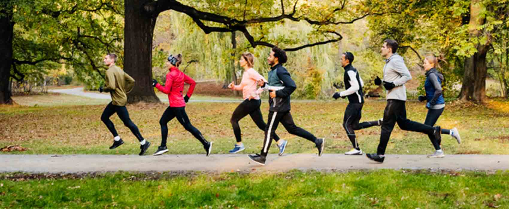 People running in a park.