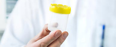 Everything You Need to Know UTI Doctor