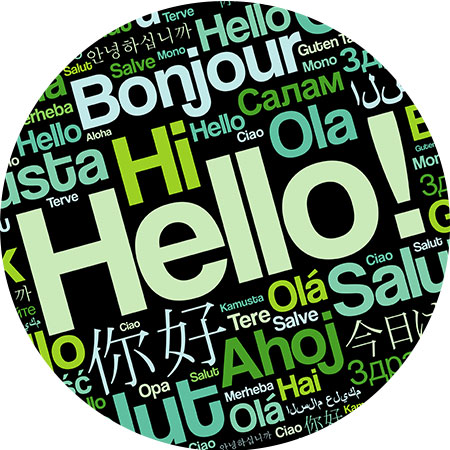 Multi lingual program