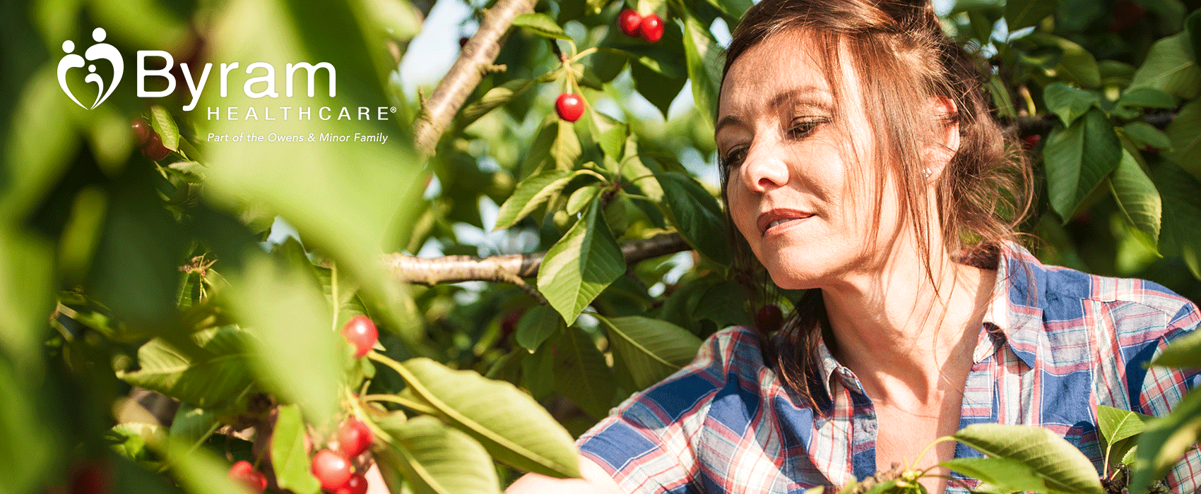 woman picking fruits