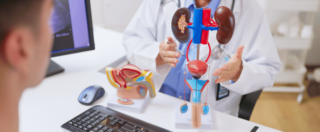 urologist with model